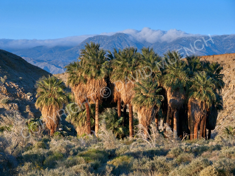 Why Build a Modular Home in Indio Hills, CA