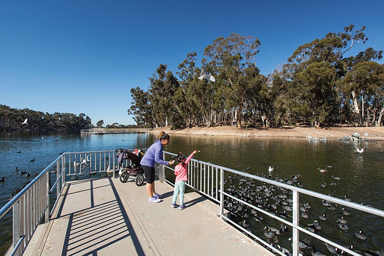 Building a granny flat just got easier in the Oak Park area