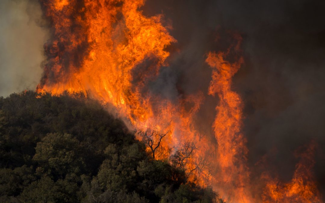 Tick Fire crews prepare for new Santa Ana Winds