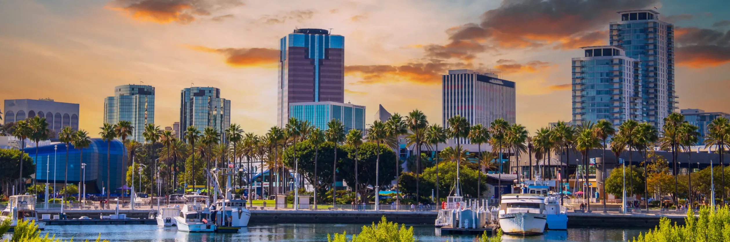 Waterfront view of boats on the water in Long Beach, California.